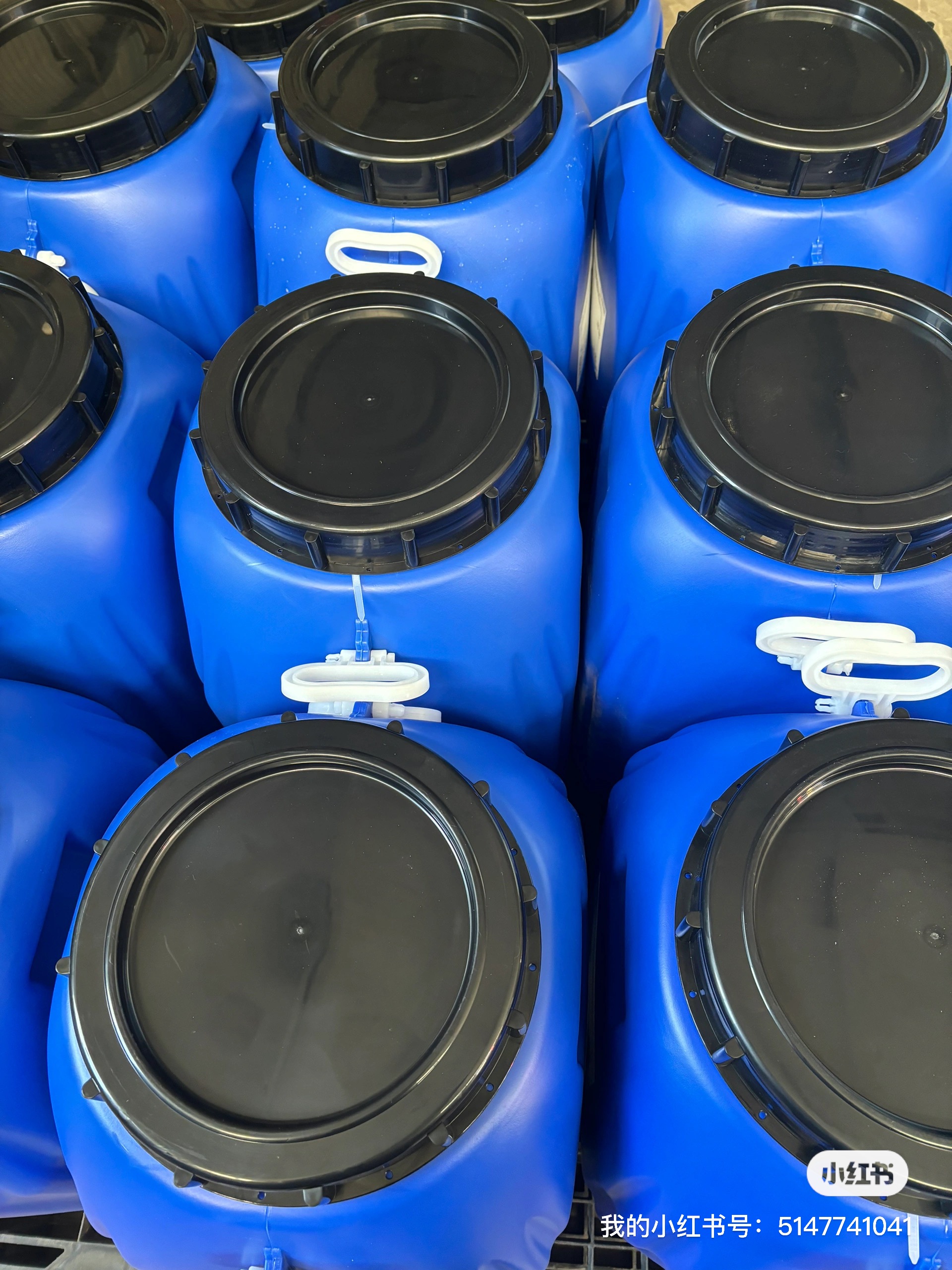 1766459994741617.jpg 20231204_031509098_iOS.jpg